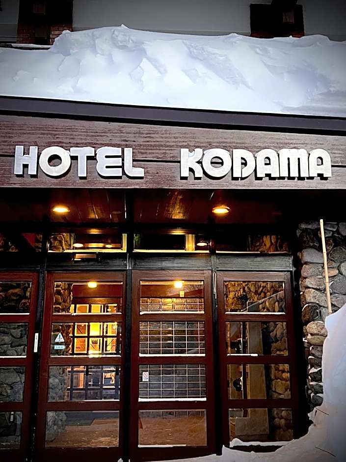 Hotel Kodama