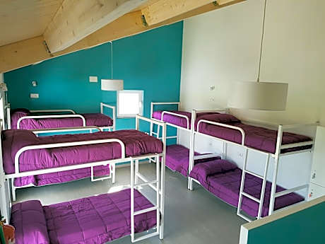 Bed in 8-Bed Mixed Dormitory Room