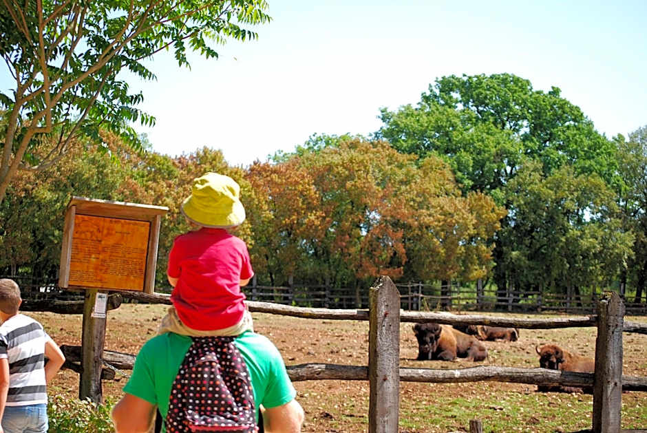 Lagrange Grand Bleu Vacances - Residence Les Ségalières
