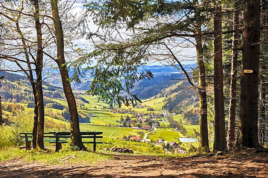 ElzLand Hotel Pfauen WELLNESS & SPA