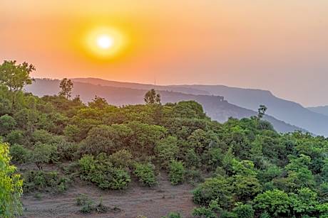 The Mountain Mist Hotel