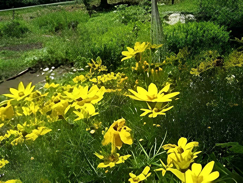 Hotel Romlus Rusutsu