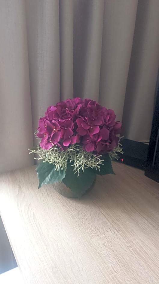 Ubytování Cukrovar