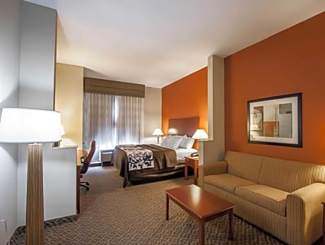 1 King Bed, Suite, Nonsmoking