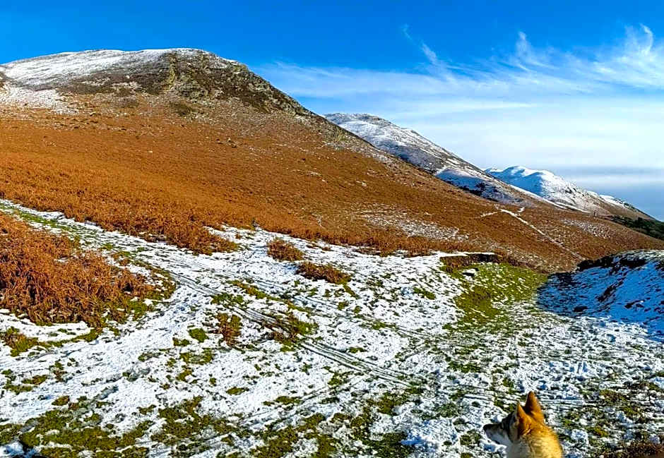 The Wayside and Whisky Barn