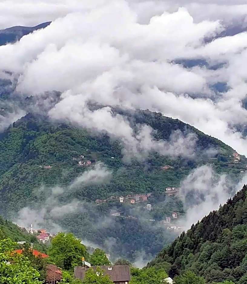 AYDER SOCi DAĞ EVLERİ