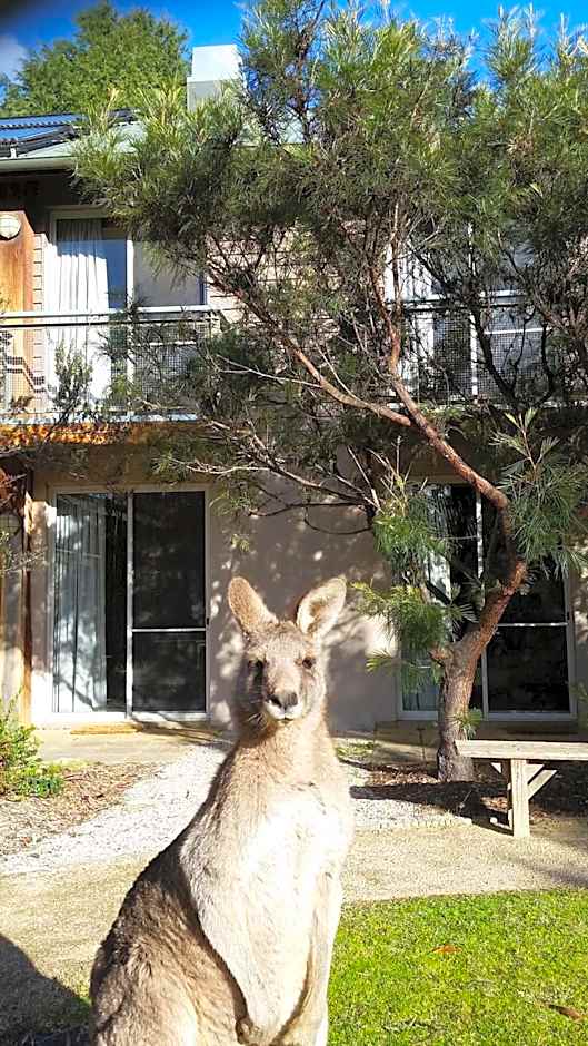 YHA Grampians Eco, Halls Gap