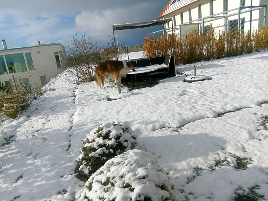 Swiss Borzoi House