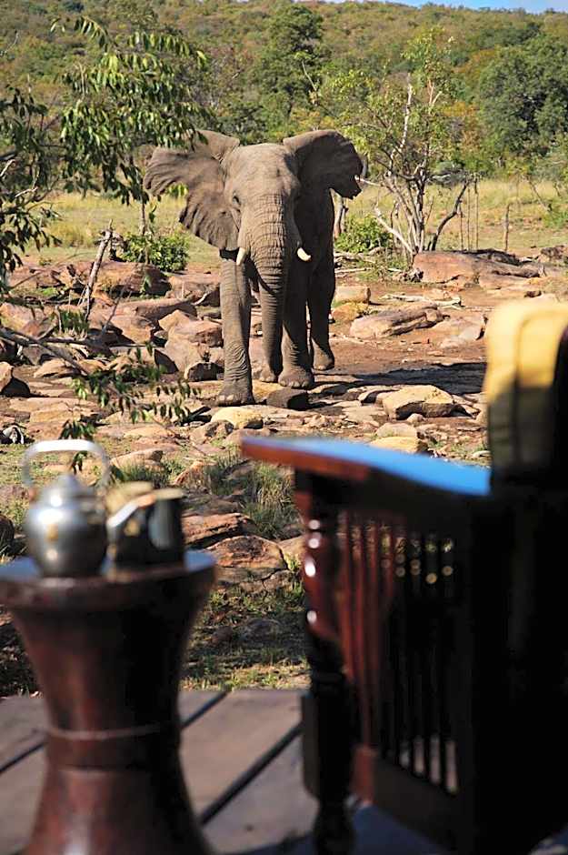 Makweti Safari Lodge