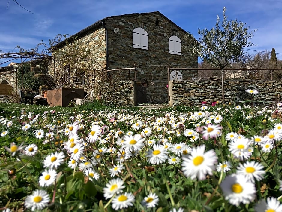 Chambres d'hôtes et studios de charme - A Mandria