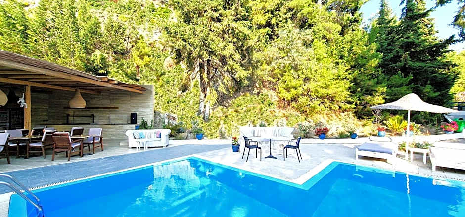 Trees Art Hotel & Suites