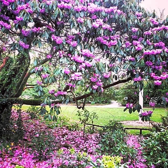 Sea Breeze Apartment