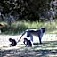 Garden Route Safari Camp