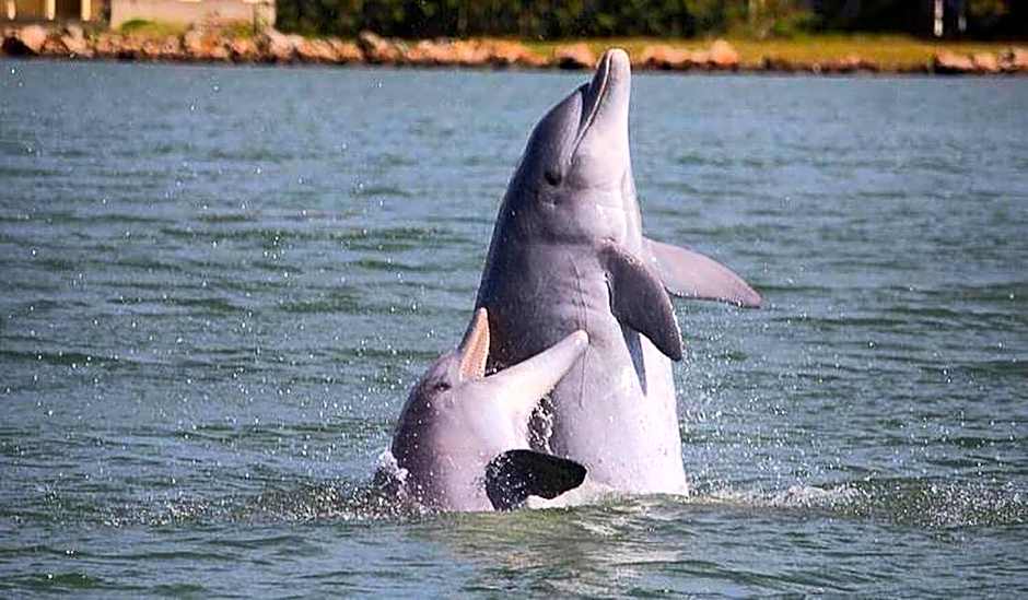 CABANAS Villa Del Mar