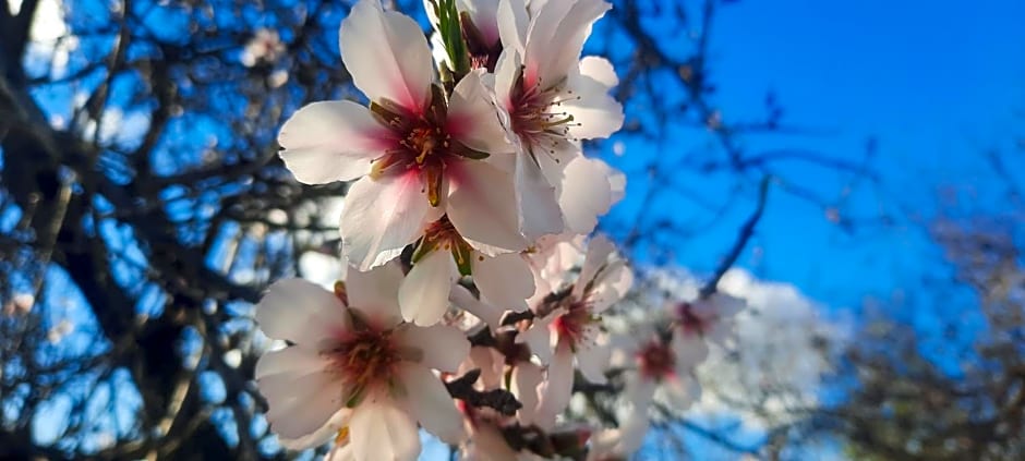 Finca Sueño de Vida