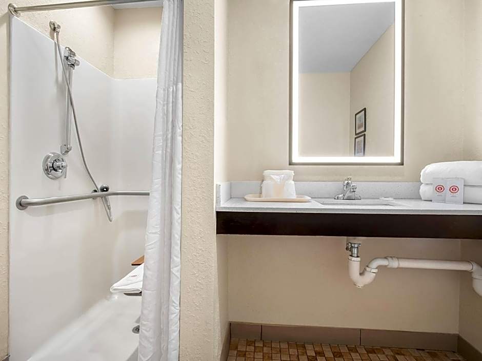 Comfort Inn Detroit Downtown