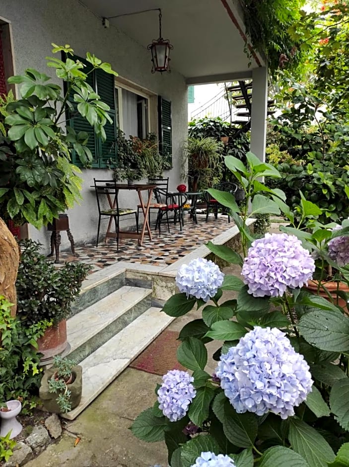 Casa Cambini