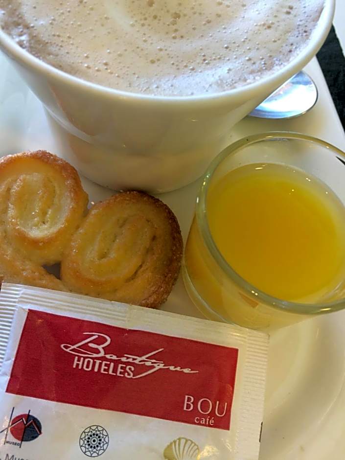 Hotel Boutique Museo Burgos