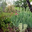 Gite du jardin du Bout du Ciel