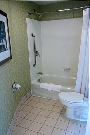 Studio, 1 King Bed with Sofa bed (Mobility/Hearing Access, Roll-In Shwr)