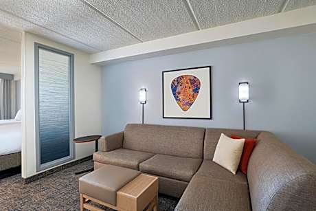 King Room with Sofa Bed and Accessible Tub - Disability Access