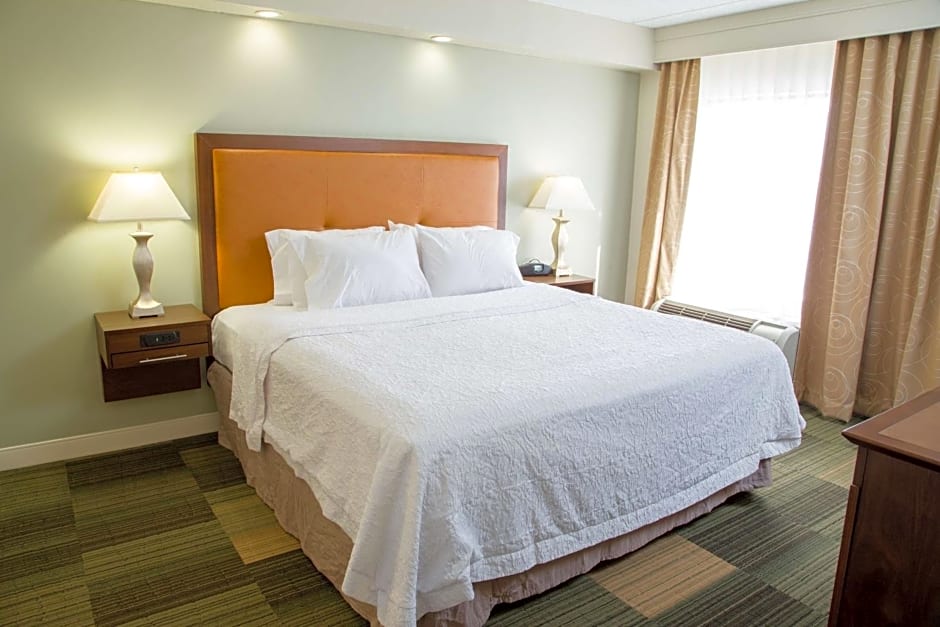 Hampton Inn By Hilton & Suites Albany-Downtown, NY