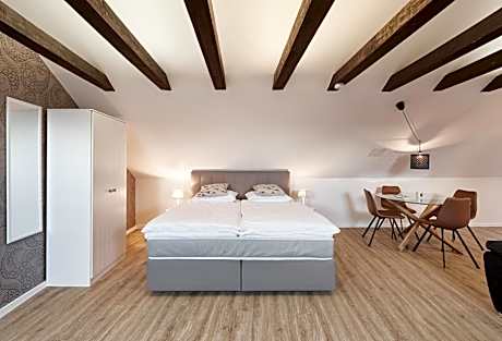 Studio with Sofa Bed