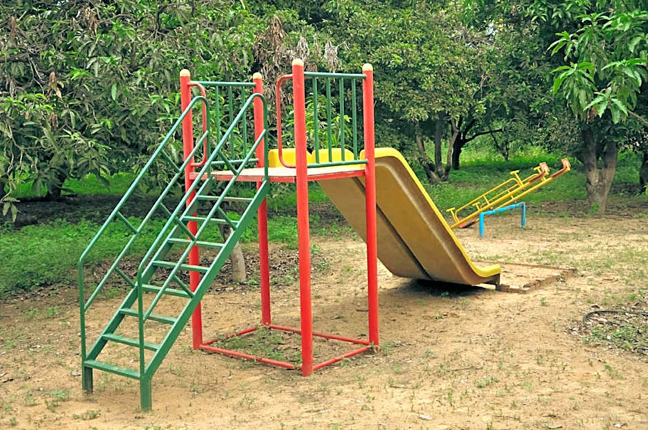 Clarks Safari Pushkar