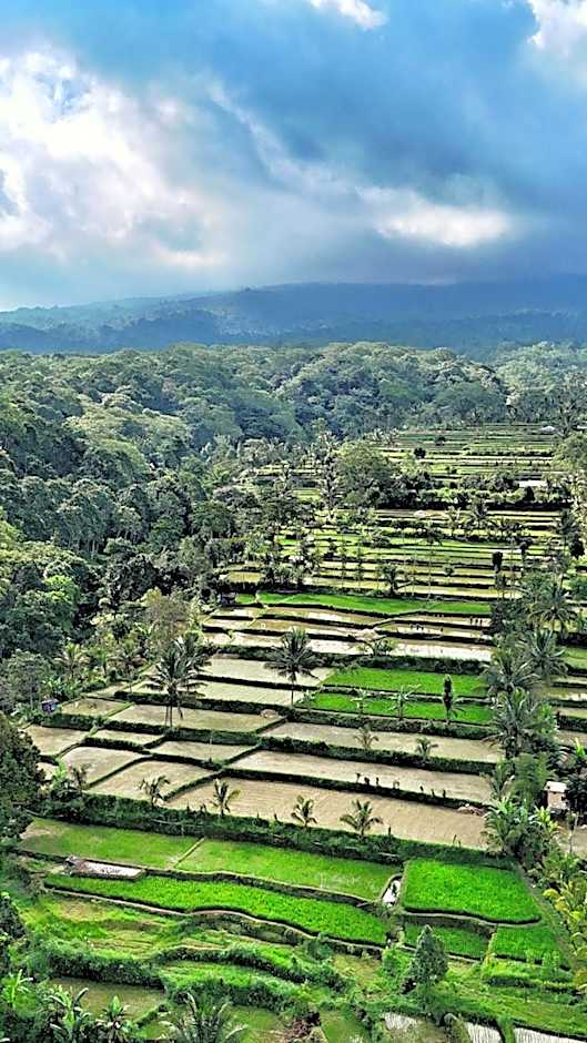 The Alam Bungalow & Restaurant