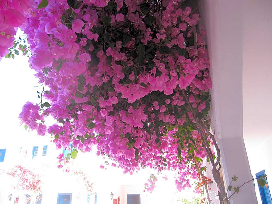 Boutique Hotel Tilos Mare