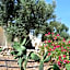 Agriturismo Masseria San Leonardo