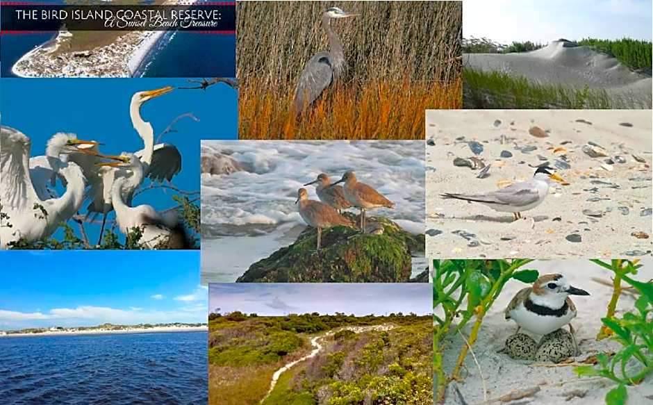 ON ISLAND Ocean View Beachy Studio in Campy 1970s Converted Motel