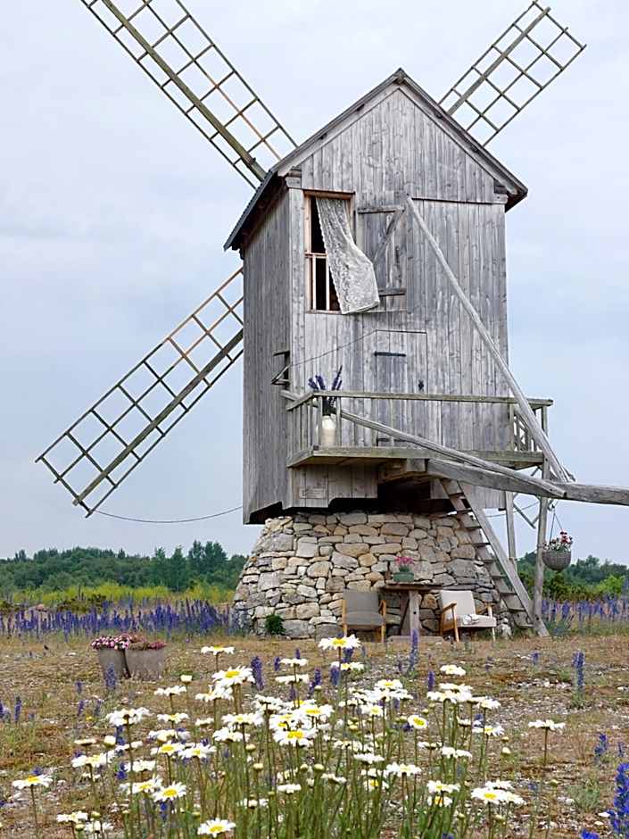 Ohessaare Windmill -Experience accommodation