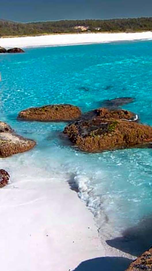 Georges Bay Apartments