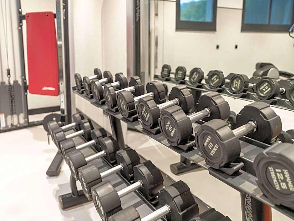 Pullman Madrid Airport & Feria