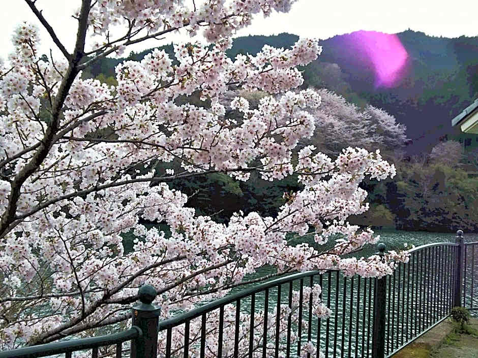 momijigawa onsen