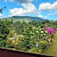Khao Kho Flora
