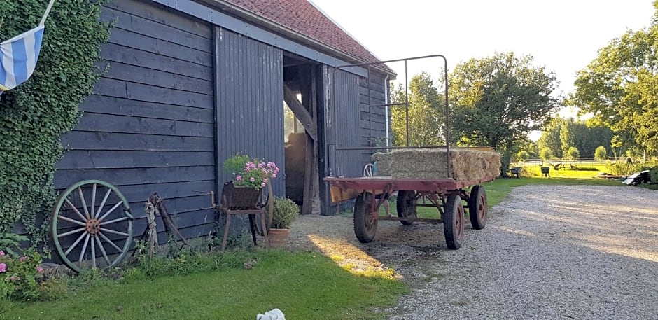 B&B Hoeve Ruimzicht