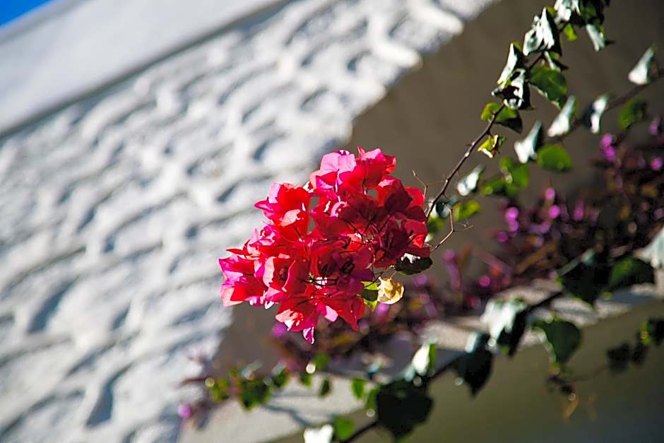 Hotel Karia Princess