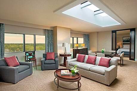 1 Bedroom Presidential Suite, 1 King