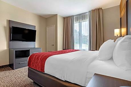 1 King Bed, Suite, Nonsmoking