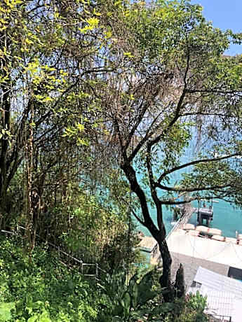 DerSalvador Sol Victoria Marina Studios