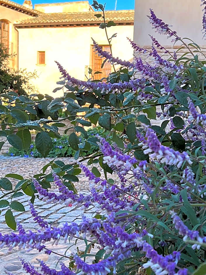 Casa del Armiño Mansión de la Familia de "El Greco"