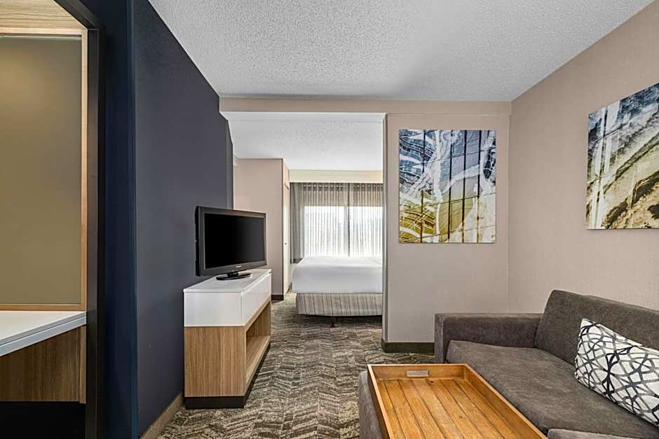 SpringHill Suites by Marriott Minneapolis West/St. Louis Park