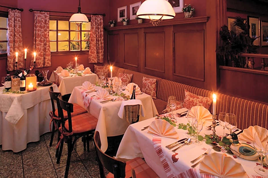 Ringhotel Hotel Zum Stein