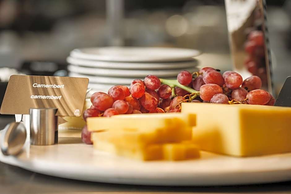 Radisson Blu Hotel Frankfurt