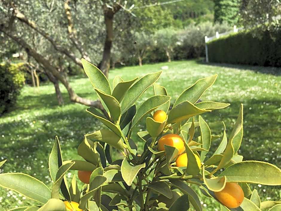 Residence Gonda&Giuliano