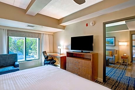 1 King/2 Qn Beds 2 Bdrm 2 Bath Suite Nonsmok