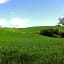 Podere Il Mulino