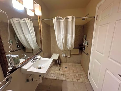 King Room with Walk-In Shower - Mobility Accessible/Non-Smoking